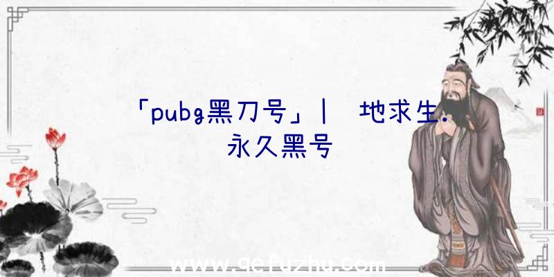 「pubg黑刀号」|绝地求生.永久黑号